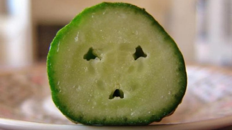 Why are cucumbers empty inside and how to prevent this problem