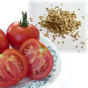 Why green tomatoes fall in the greenhouse: we quickly determine the cause and effectively fight it