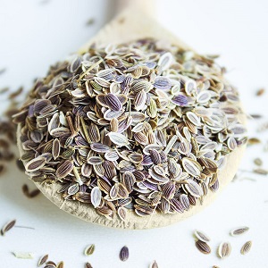 Useful properties of dill seeds and contraindications to their use