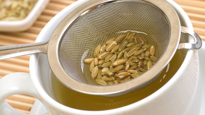 Useful properties of dill seeds and contraindications to their use