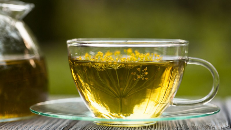 Useful properties of dill seeds and contraindications to their use