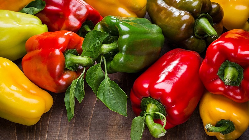 The benefits and harms of yellow sweet pepper and is there a difference between the colors of the vegetable