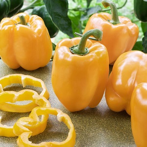The benefits and harms of yellow sweet pepper and is there a difference between the colors of the vegetable