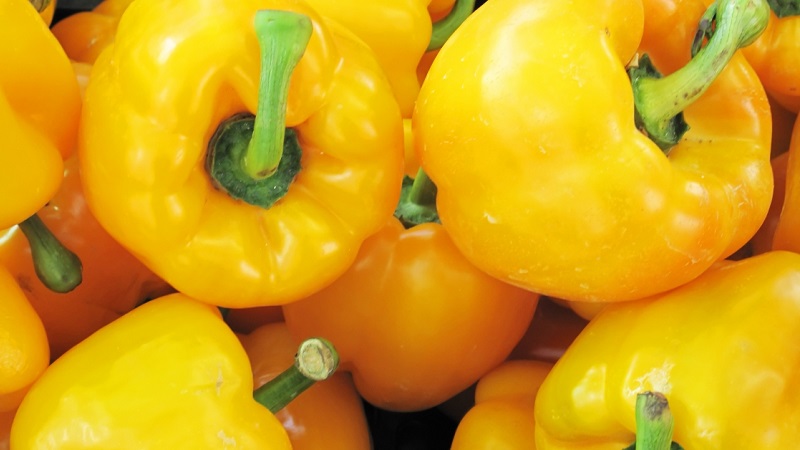 The benefits and harms of yellow sweet pepper and is there a difference between the colors of the vegetable