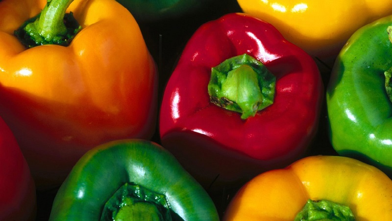 The benefits and harms of yellow sweet pepper and is there a difference between the colors of the vegetable