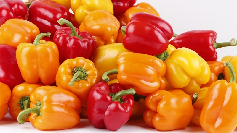 The benefits and harms of yellow sweet pepper and is there a difference between the colors of the vegetable