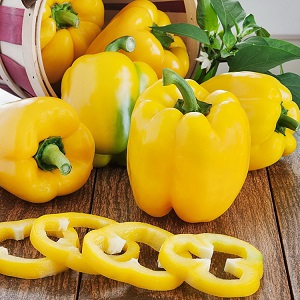 The benefits and harms of yellow sweet pepper and is there a difference between the colors of the vegetable