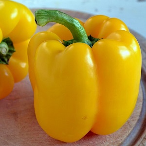 The benefits and harms of yellow sweet pepper and is there a difference between the colors of the vegetable