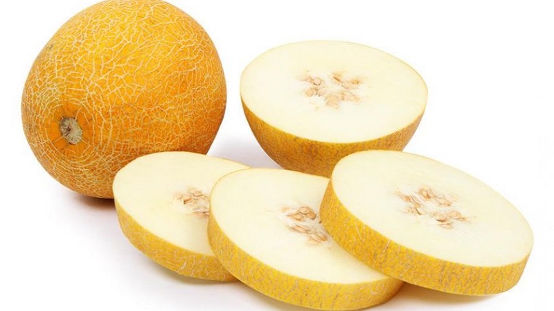 Popular kolkhoz melon: calorie content, benefits and harms to the body