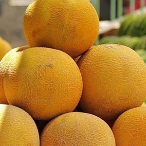 Popular kolkhoz melon: calorie content, benefits and harms to the body