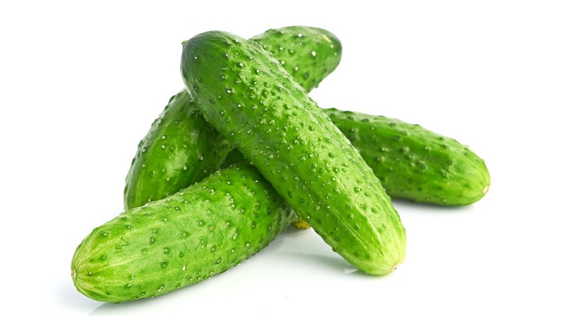 A popular among summer residents hybrid of cucumbers Khrustik with a juicy crunch and excellent taste