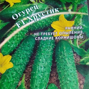 A popular among summer residents hybrid of cucumbers Khrustik with a juicy crunch and excellent taste