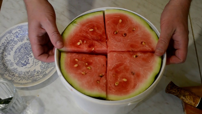 How to salt watermelons in a saucepan in slices quickly, simply and tasty