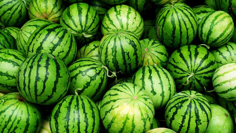 The reasons why watermelon is bitter and is it possible to eat such a fruit