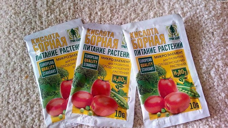 Use of boric acid for plants: tomatoes, cucumbers, peppers and other crops