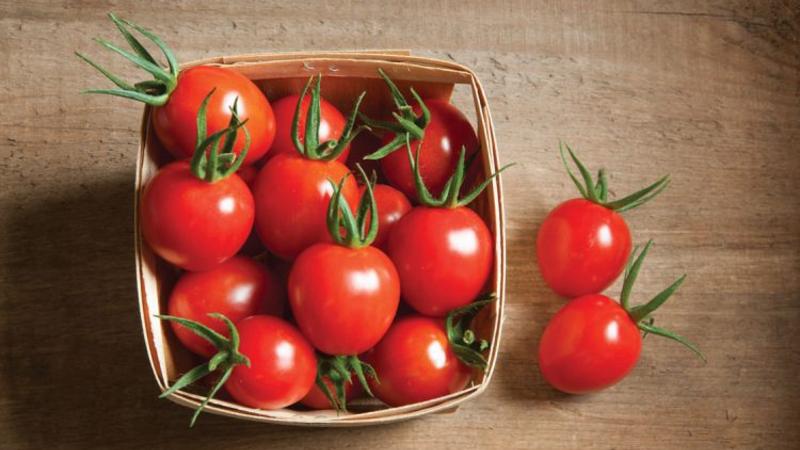 We will tell and show you how to keep tomatoes fresh for a long time: interesting life hacks from experienced owners