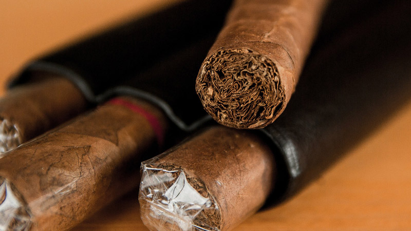 Varieties and characteristics of tobacco varieties