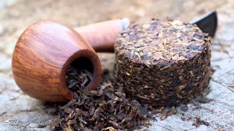 Varieties and characteristics of tobacco varieties