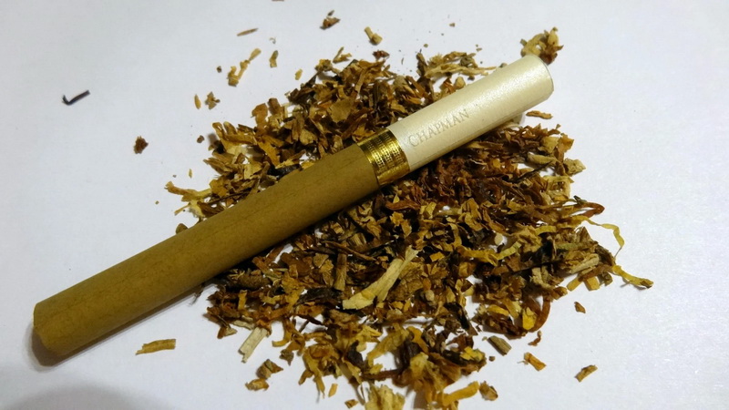 Varieties and characteristics of tobacco varieties