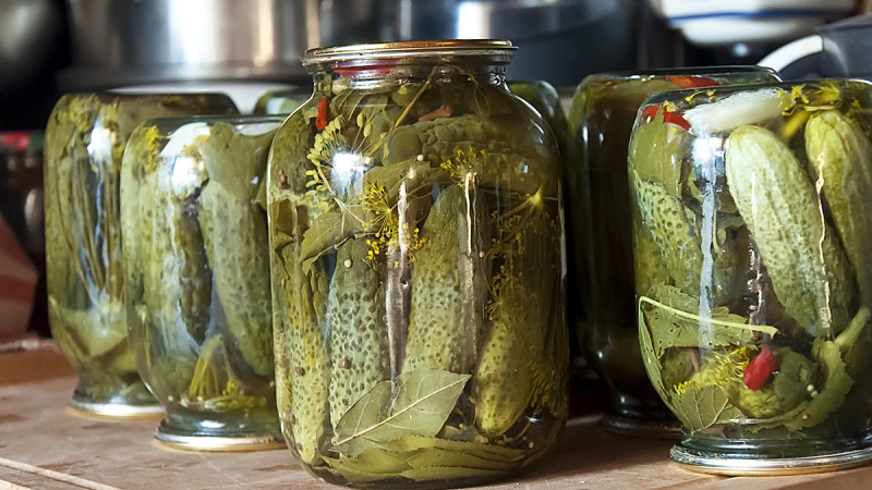 The most delicious recipes for salting crispy cucumbers for the winter with aspirin