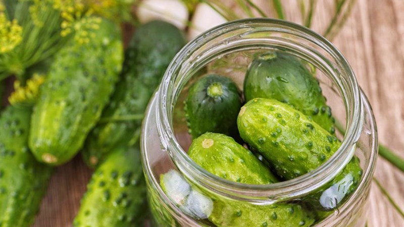 The most delicious recipes for salting crispy cucumbers for the winter with aspirin