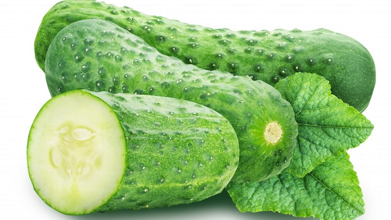 The earliest varieties of cucumbers for greenhouses and open field