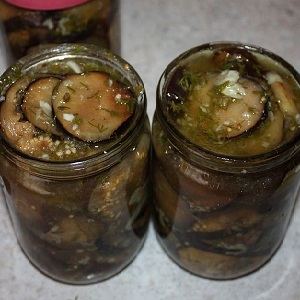 The most delicious recipes for salting eggplant for the winter in jars from experienced housewives