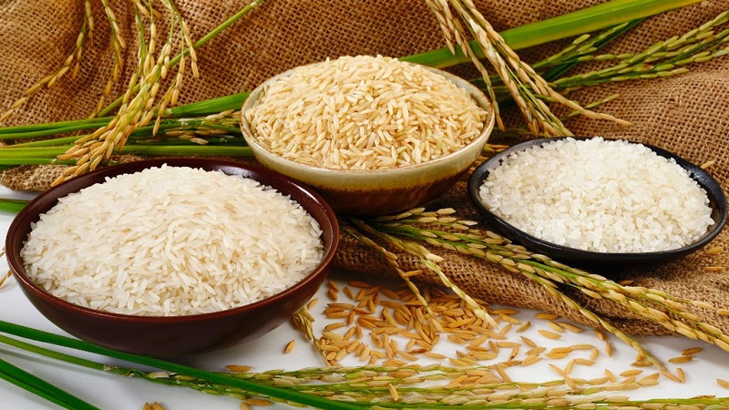 The healthiest rice: which variety is better to eat