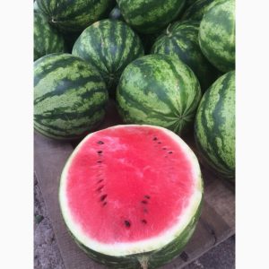 Should you buy watermelon seeds? Producer: an overview of the variety of American breeders, its advantages and disadvantages