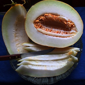 Sweet and fragrant Uzbek melon Gulyabi: how to choose and how to grow it yourself