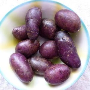 Amateur table potato Gypsy with purple skin and white flesh