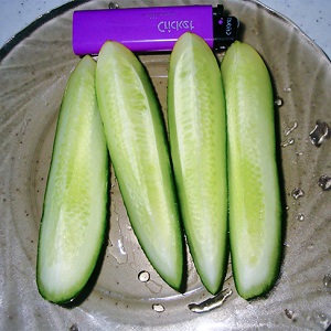 Medium-early self-pollinated cucumber Patti: secrets of agricultural technology and crop reviews