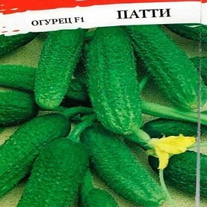 Medium-early self-pollinated cucumber Patti: secrets of agricultural technology and crop reviews