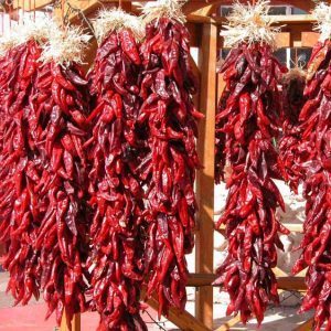 How to dry hot peppers at home: the best harvesting methods and recommendations for storing the product