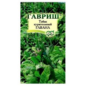 Flavored and delicious Havana tobacco for Cuban cigar lovers