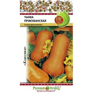 A mid-season and unpretentious nutmeg pumpkin variety Kuban: what is good, and how to grow it correctly