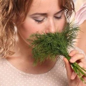 Dill for women: what is good for the body