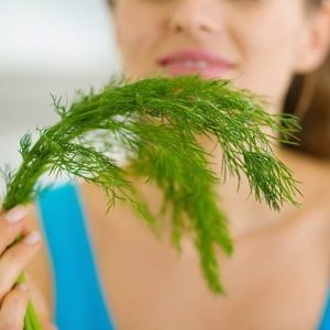 Dill for women: what is good for the body