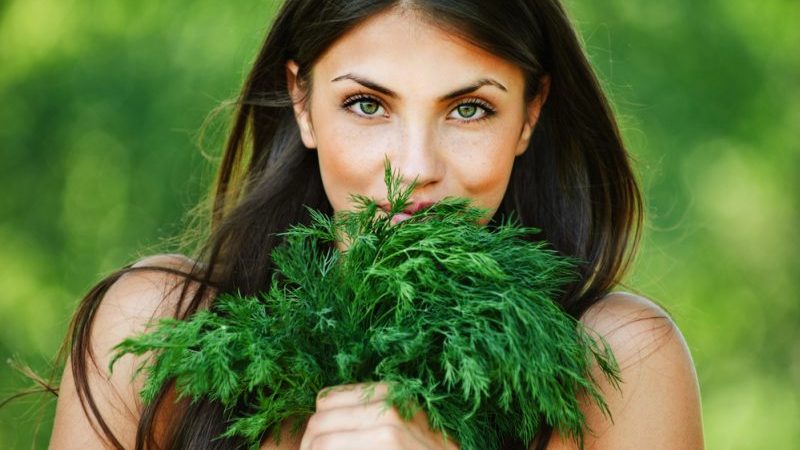 Dill for women: what is good for the body