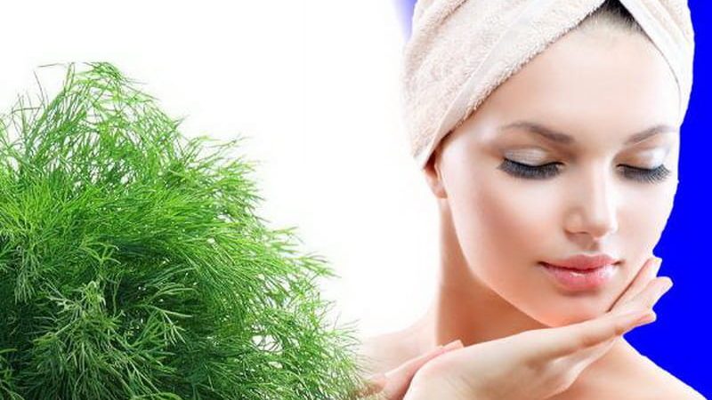Dill for women: what is good for the body