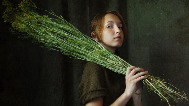 Dill for women: what is good for the body