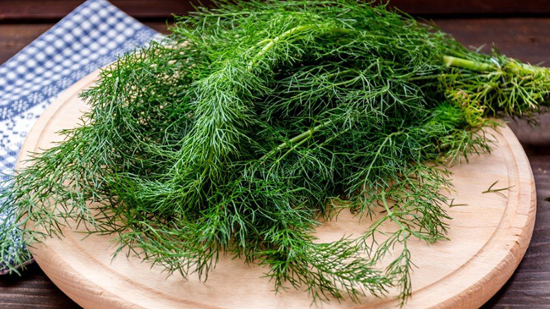 Dill and cumin are the same thing or not: we understand the issue and learn to distinguish between them