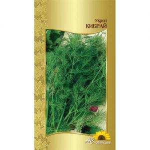 Recommendations for the care and cultivation of dill Kibray: how to protect against pests and correctly harvest