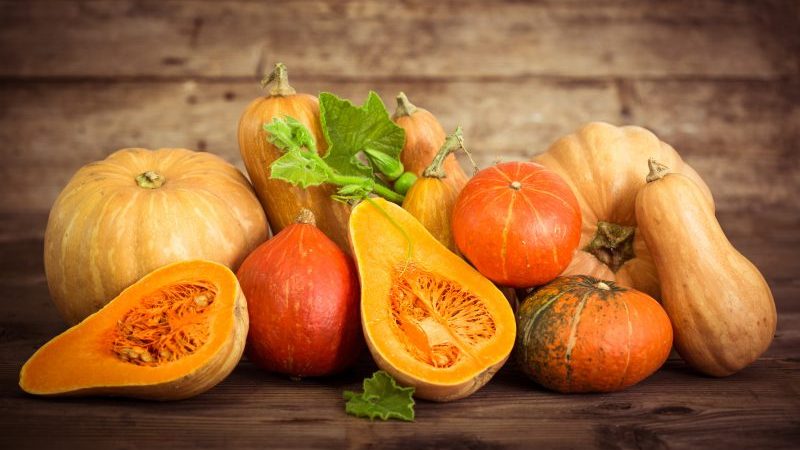 What to do with pumpkin allergy: treat effectively and prevent it in advance