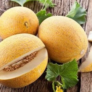 We grow a delicious harvest on our own: how a melon grows in a greenhouse, open field and at home