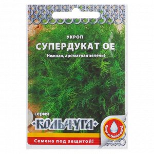 The best varieties of bush dill for a rich green harvest