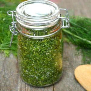 The best varieties of bush dill for a rich green harvest