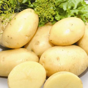 Description and characteristics of the La Perla potato variety