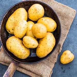 What is good about the German Zekura potato variety: description, characteristics and reviews