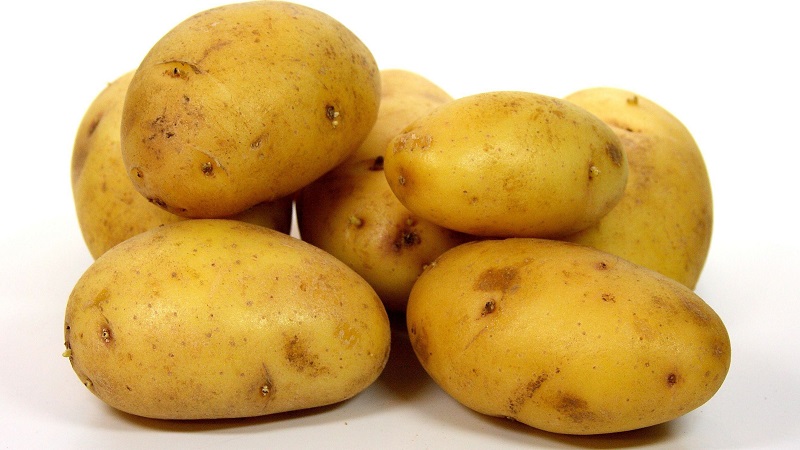 What is good about the German Zekura potato variety: description, characteristics and reviews